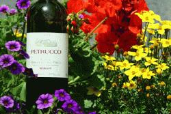 The Petrucco label of fine wines